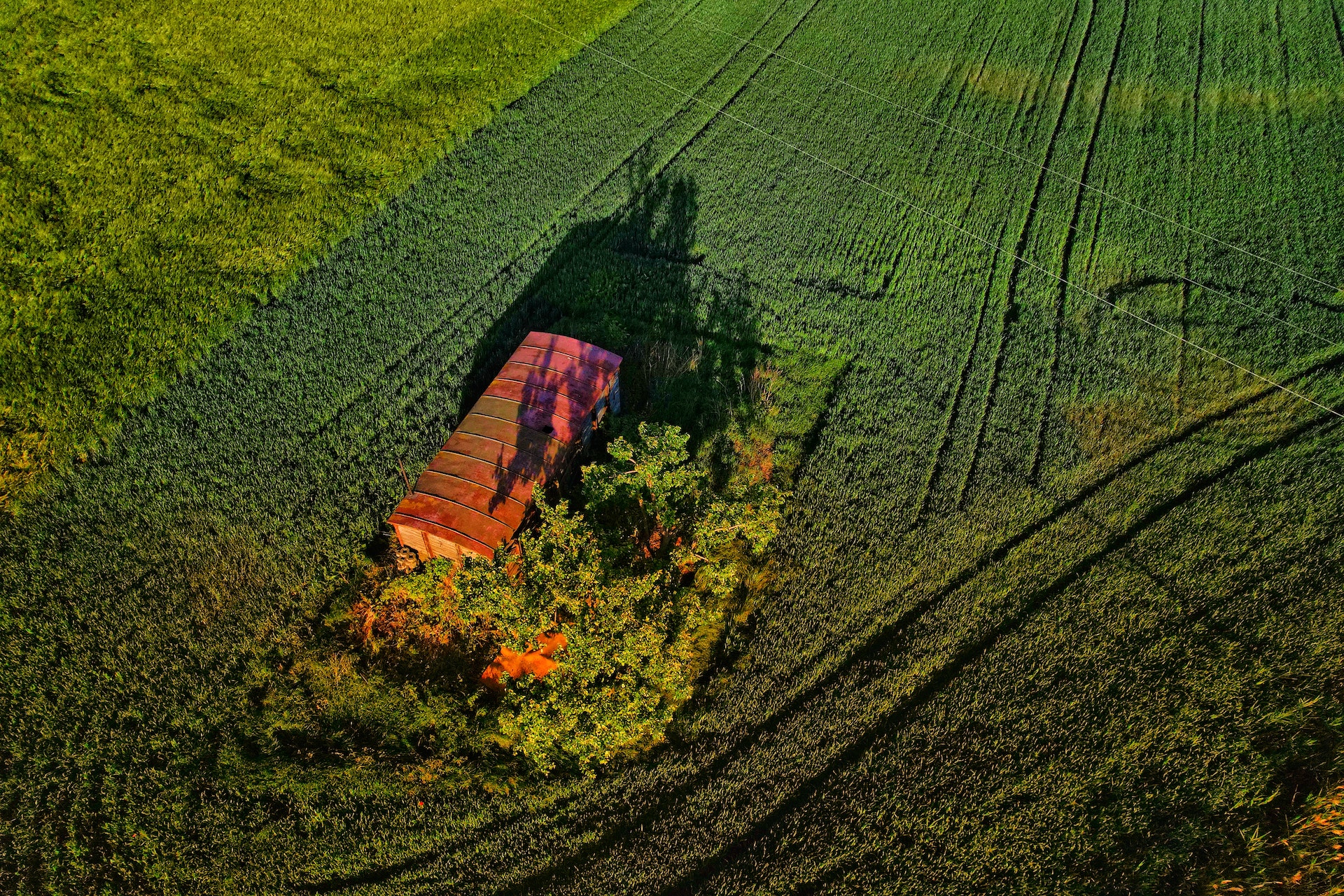 Czy można wziąć kredyt na zakup działki budowlanej?